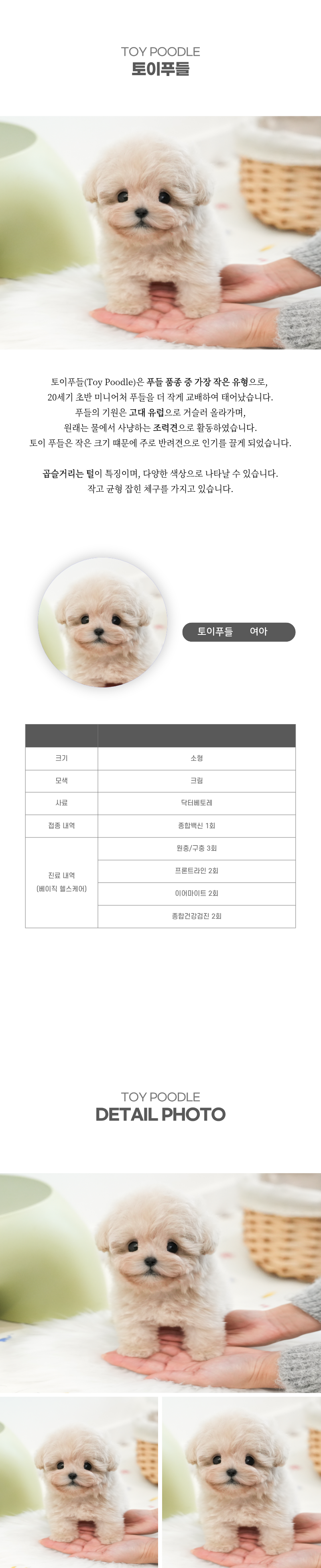 토이푸들_상세이미지_2